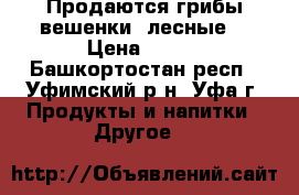 Продаются грибы вешенки (лесные) › Цена ­ 150 - Башкортостан респ., Уфимский р-н, Уфа г. Продукты и напитки » Другое   